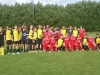 hsw-holstein